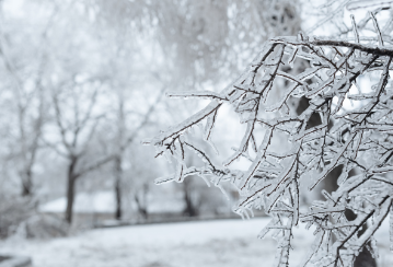How to stay safe during an ice storm