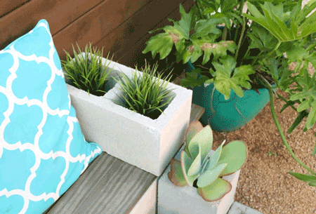 DIY Succulent Bench