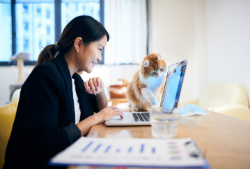 Person works on laptop at home, smiling while their cat looks at the screen and paws at the buttons.