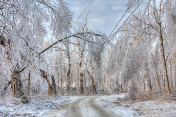Canadian winters can be beautiful, but treacherous too