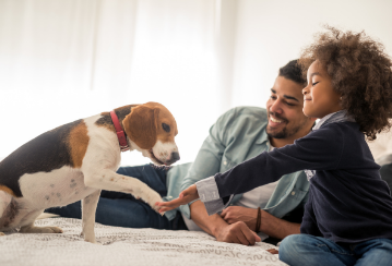 Pet proof your home in 7 easy steps!